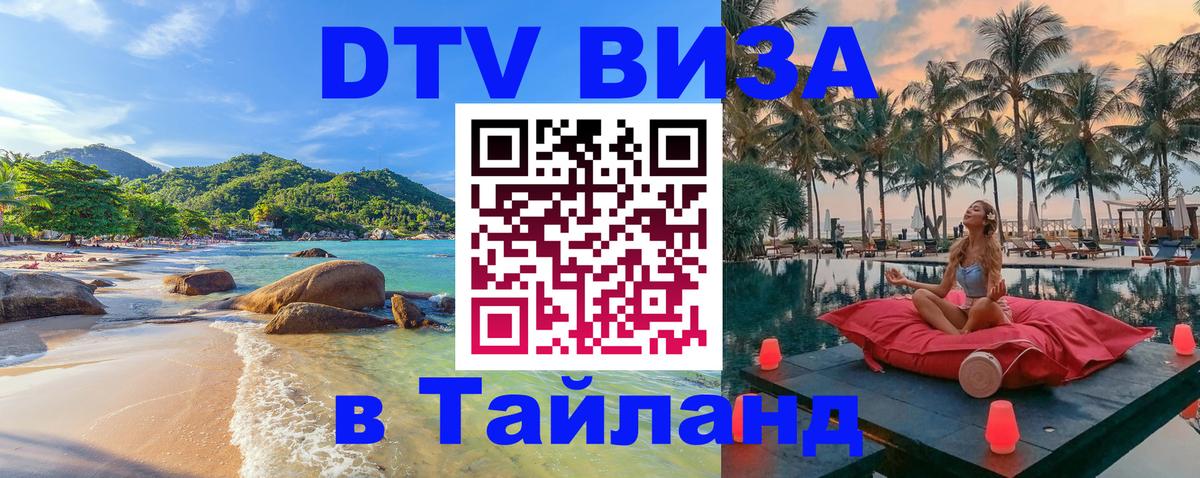 Сколько стоит DTV виза — актуальные цены, оформление даже без документов - Тула 